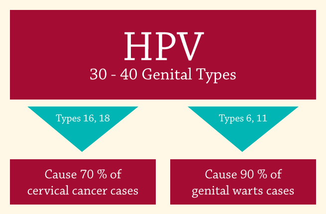 hpv with warts cause cancer